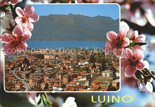 Luino lago maggiore - lago,