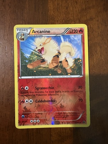 Pokemon arcanine reverse - pokemon, 13/99
