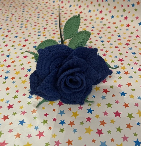 Rose all uncinetto - rose,