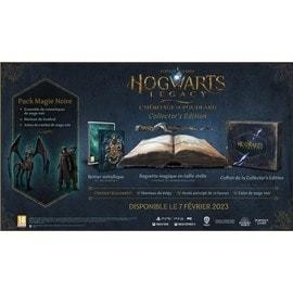 Jeu ps4 hogwarts legacy - hogwarts,