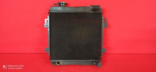 Fiat 124 special radiatore - 124,