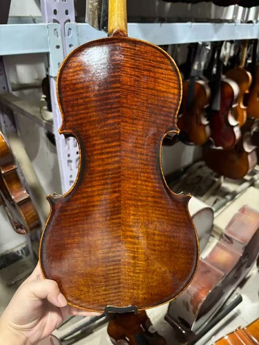 Violino professionale