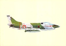 13-5B) CARTOLINA AVIAZIONE CACCIA BOMBARDIERE FIAT G 91 Y