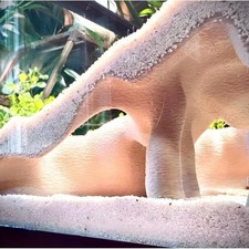 Nascondiglio angolare per