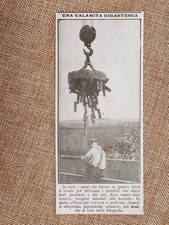 Recupero dei proiettili della