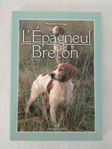 Epagneul breton massimo - l'epagneul,