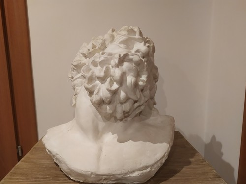 Scultura testa laocoonte - scultura,