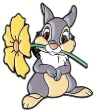 🐰🐰🐰Spilla TAMBURINO~