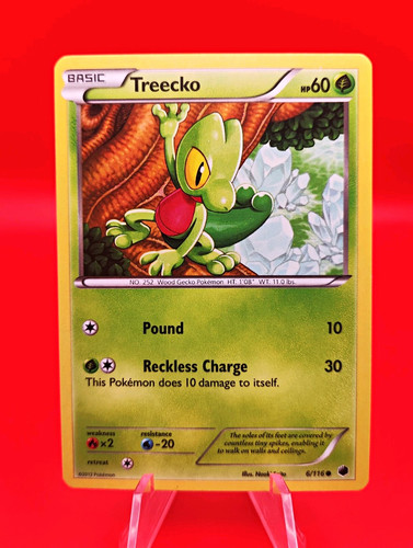 The pokémon company - company,