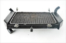 Suzuki TL 1000 R 98 02 radiatore acqua con griglietta originale