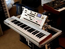 MUST SEE!!! KORG RADIAS