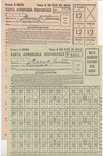 SAN FELICE BENACO (BRESCIA), 2