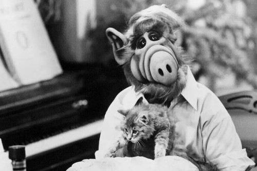 Alf series - alf, tv