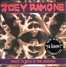 Ramones joey ramone - ramone, n