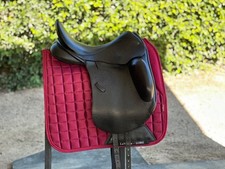 County Epiphany dressage