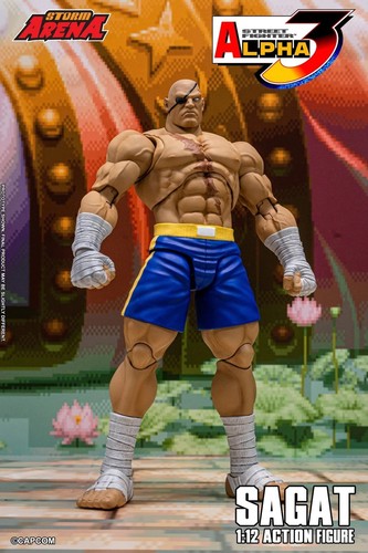 Sagat tiger raid - tiger,