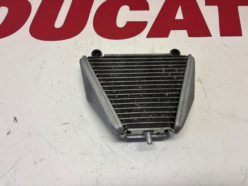 Radiatore olio ducati - radiatore,