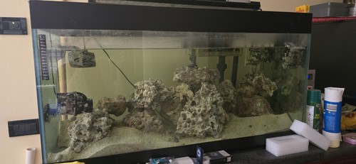 Rocce vive per acquario marino