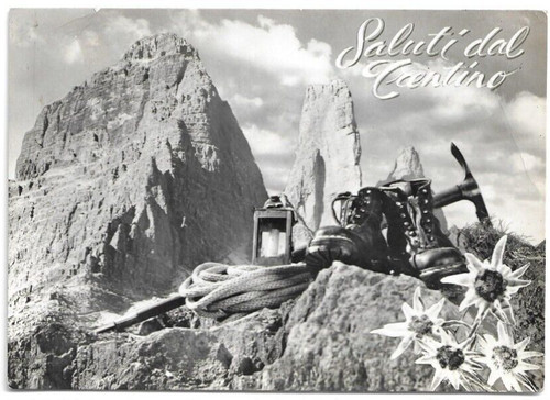 Cartolina trento saluti - cartolina, ,saluti