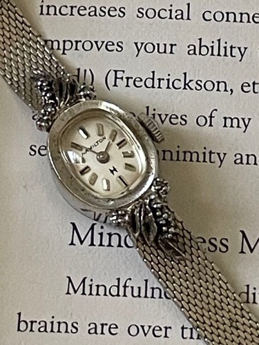 Orologio donna hamilton - orologio,