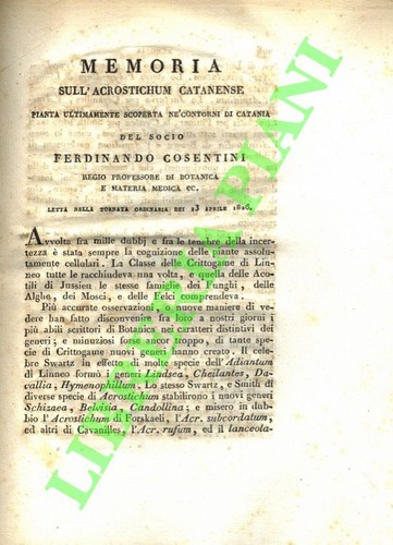 Cosentini ferdinando memoria - cosentini,