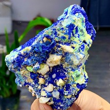 347G MIGLIORI esemplari di