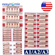 84/96pz Set Denti Dentali