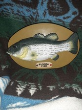 Pesce Bubba che canta pesce