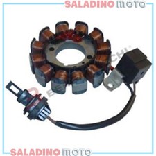 STATORE GENERATORE 12 POLI
