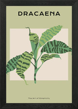Quadro Dracaena foglia