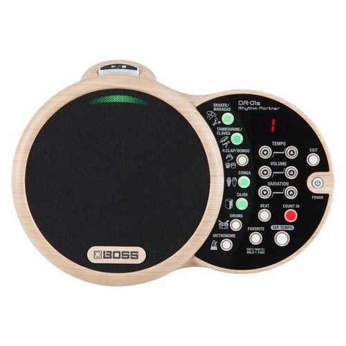 Boss 01s rhythm partner - boss, dr-01s