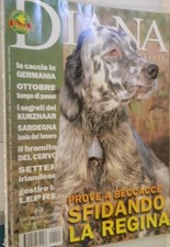 DIANA 22 2000 Caccia in Germania Kurzhaar Beccacce Cervo Setter irlandese di e