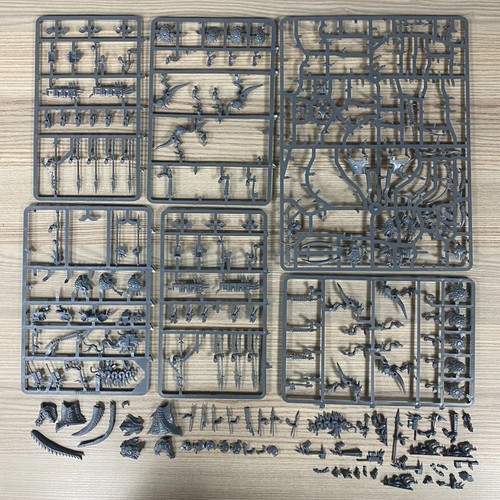 Lotto seraphon lizardmen - lotto, seraphon/lizardmen