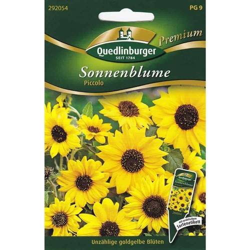 Girasoli piccolo - girasoli,,