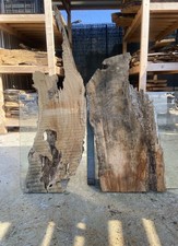 2 Tavole in legno di ulivo