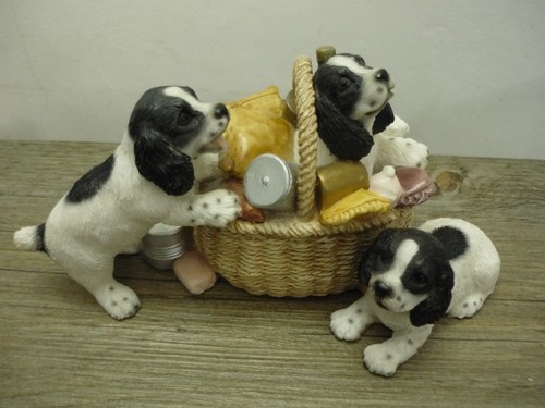 Cocker springer spaniel - springer,