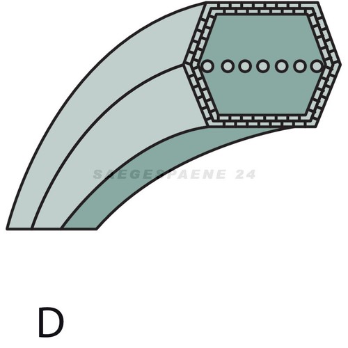 Cinghia trapezoidale