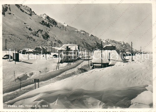 Passo del tonale panorama - tonale,