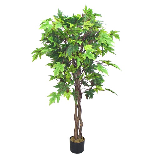 Acero albero - acero, artificiale