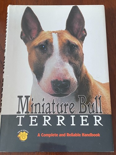 Rare miniature bull terrier - ,