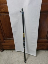 Canna Bolognese Vintage