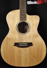 Chitarra elettrica acustica