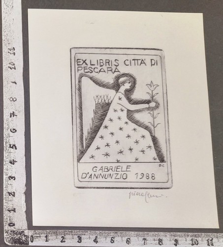 Wunderkammer exlibris 276 - wunderkammer,