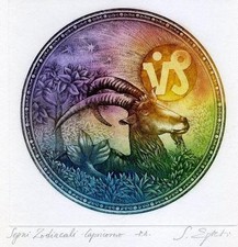 ZSUZSA EGRESI - SEGNI