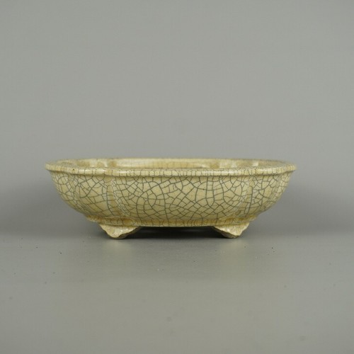 Satomi terahata seto - satomi,