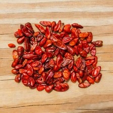 Semi di peperoncino selvatico