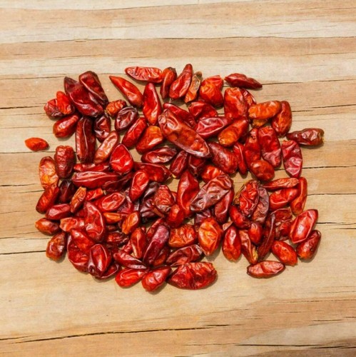 Semi peperoncino selvatico - peperoncino,