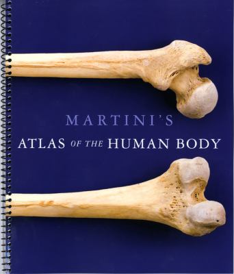 Martini atlas the human - of,