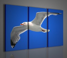 QUADRI MODERNI GULL QUADRO MODERNO NATURA ARREDAMENTO CASA QUADRO TRITTICO CASA