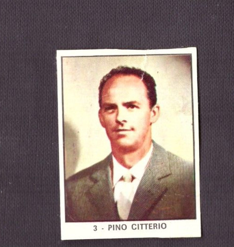 Panini campioni dello sport - panini,
